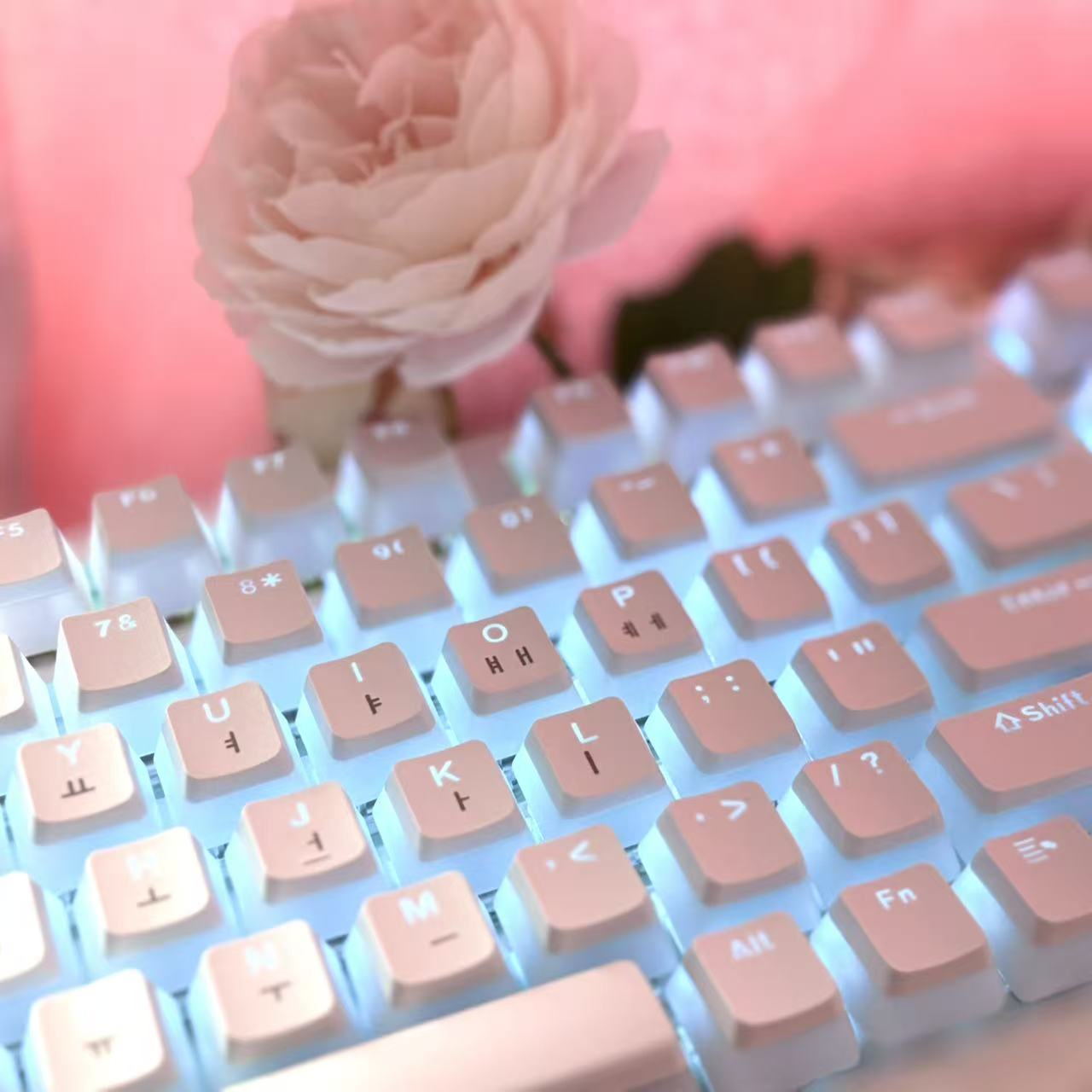 Hangul Tastenkappe, koreanisch – Gaming Accessories Aesthetic Bewertung und Preis